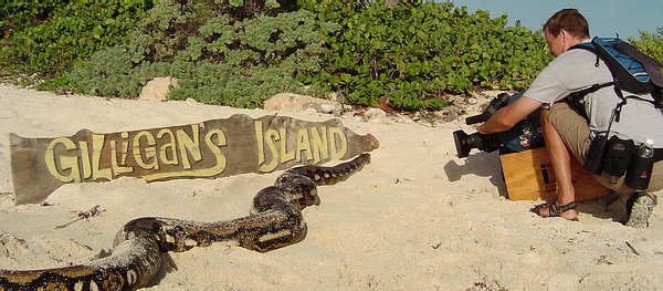 Gilligan's Island 2
